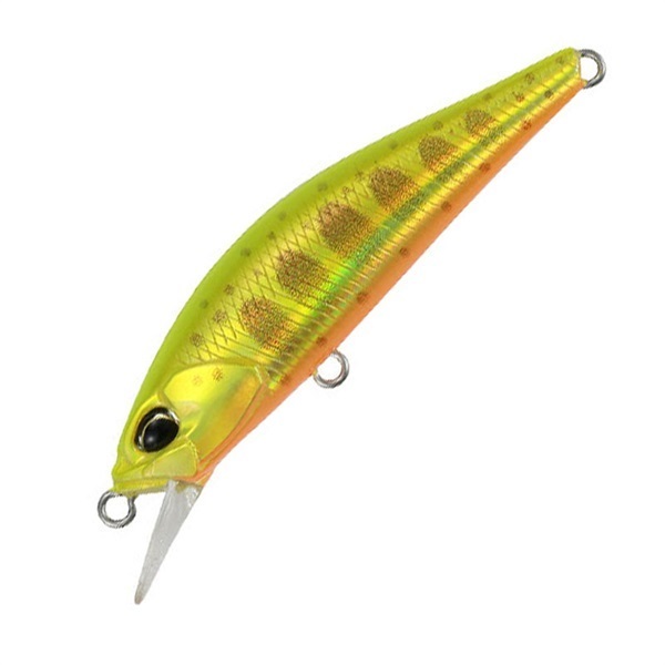 スピアヘッド　リュウキ　５０Ｓ　匠